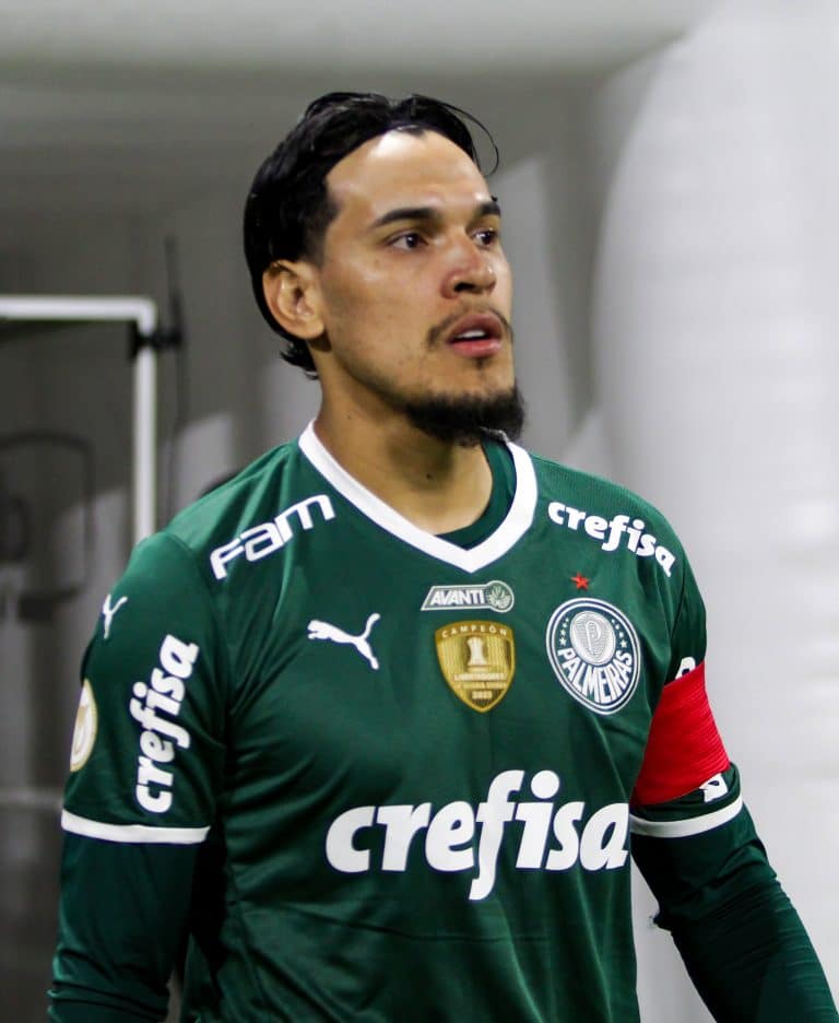 Gustavo G&oacute;mez celebra fase no Palmeiras